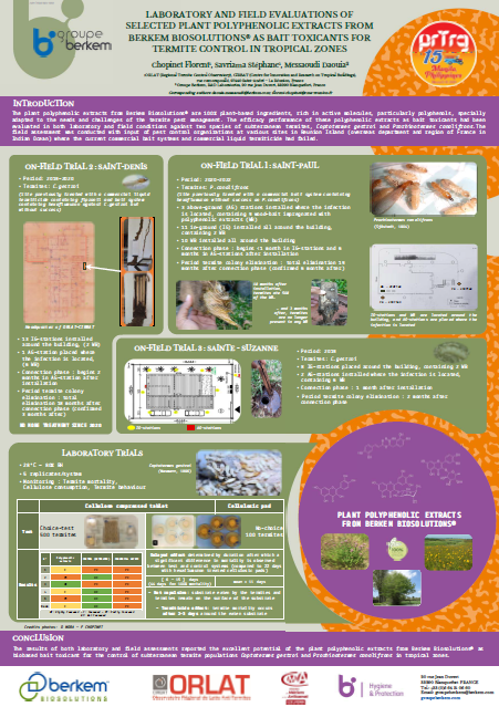 Poster en anglais des extraits végétaux capables de remplacer les produits chimiques pour lutter durablement contre les termites